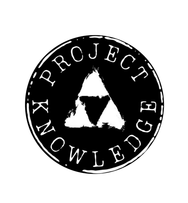 Project knowledge store
